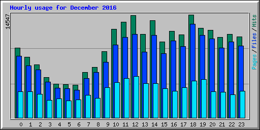 Hourly usage for December 2016