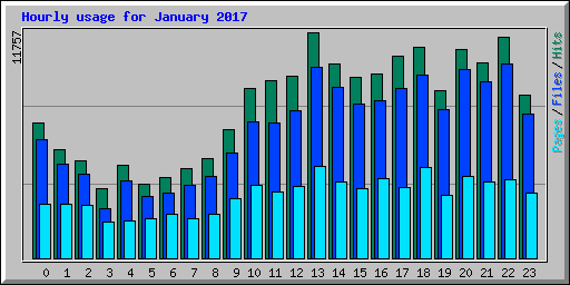 Hourly usage for January 2017